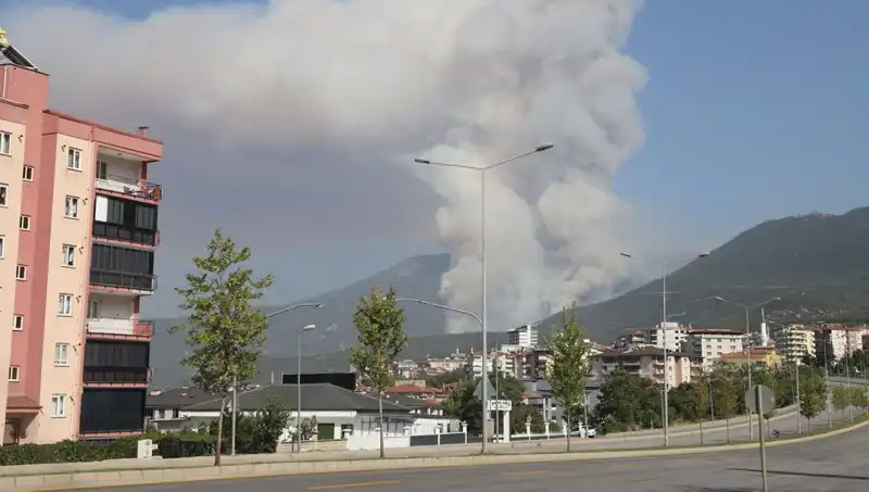 Denizli'deki Orman Yangınında Şüpheli Gözaltına Alındı: Detaylar Belli Oldu