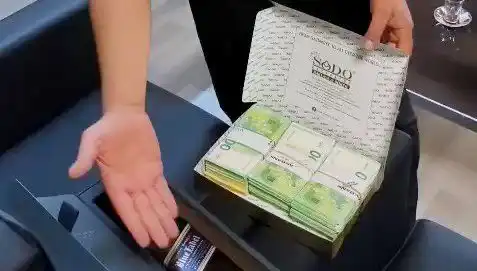 Manavgat Belediyesi'ne Yapılan Operasyonda Baklava Kutularından Avrolar Çıktı