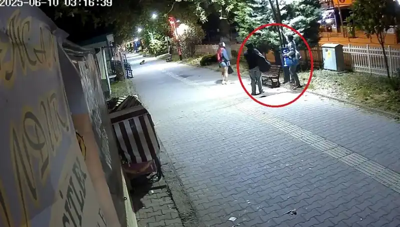 Aydınlatma Direklerindeki LED Işıkları Söküp Götüren Hırsızlar: 300 Bin TL Zarar!