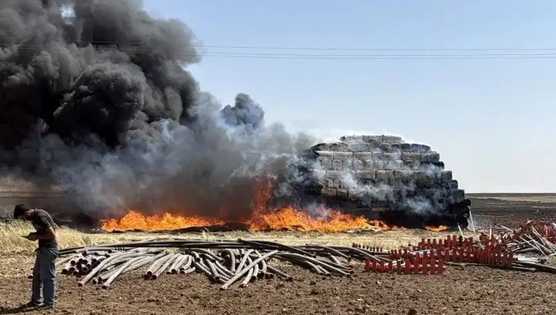 Mardin'de Anız Yangını: Tarım Arazilerini Tehdit Eden Yangınlar