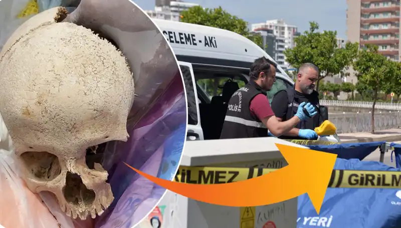 Çöp Alanında Bulunan Kafatasının Şaşırtıcı Sırrı ve Gözaltına Alma Süreci