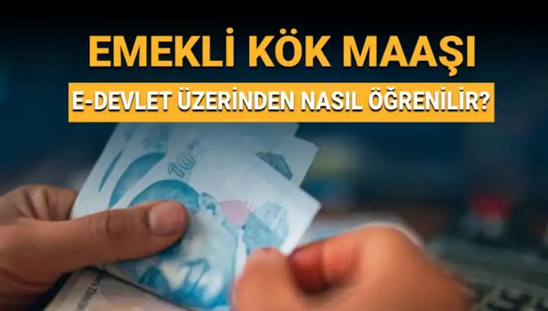Kök Maaş Nedir? Öğrenmek ve Hesaplamak İçin Bilmeniz Gereken Her Şey