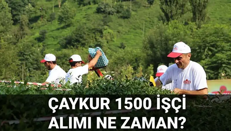 Çaykur İşçi Alımı Başvuru Tarihleri ve Son Durum Nedir?