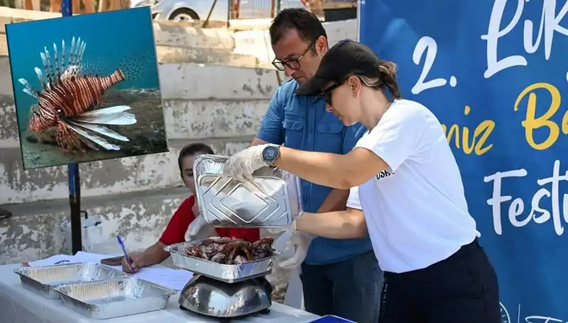 Antalya'da İstilacı Aslan Balığı Avlama Yarışması: Balıkçılık Tutkunları Bir Araya Geldi