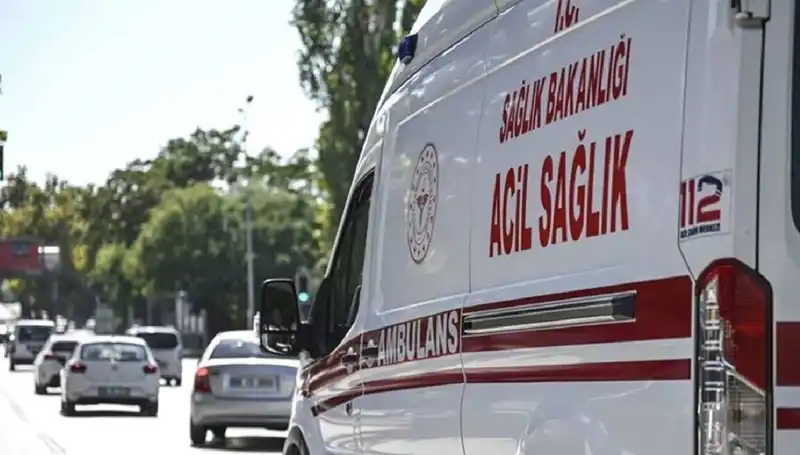 Mangal Faciası: Apartmanda Büyüyen Kargaşaya Böcek Sebep Oldu!
