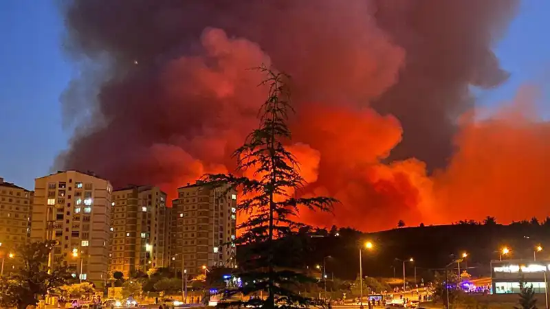 Bursa'da Artan Yangınlar: Şehirdeki Tehlikenin Arkasındaki Nedenler