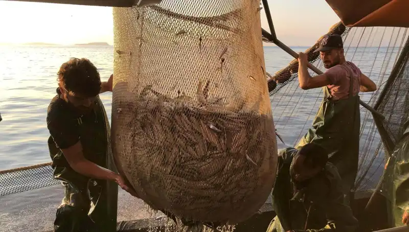 Balıkçılar Artık Seslerini Yükseltiyor: Ceza Fırtınası Başladı