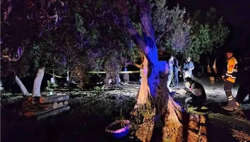 Çiftlikte Baltalı Vahşet: Olayla İlgili İlk Tutuklama Gerçekleşti