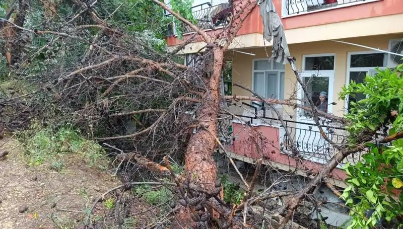 Şiddetli Yağmur, İhmal Sonucu Bina Çökmesini Beraberinde Getirdi