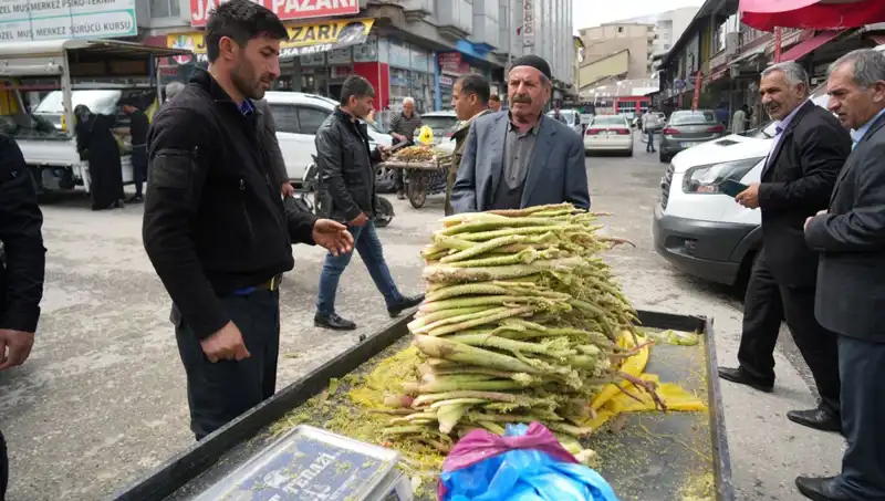 Dağlardan Gelen Şifa: Şeker Yüksekliği ve Mide Hastalıklarına İyi Gelen Doğal Kaynağın Sırları