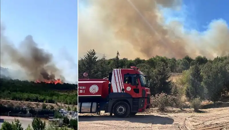 Gebze'de Henüz Belirlenemeyen Sebepten Orman Yangını Çıktı